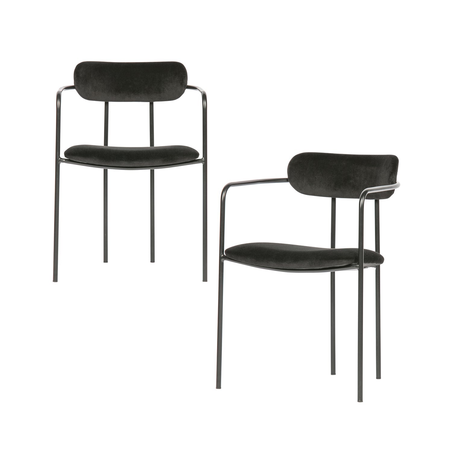 IVY DINING CHAIR VELVET BLACK