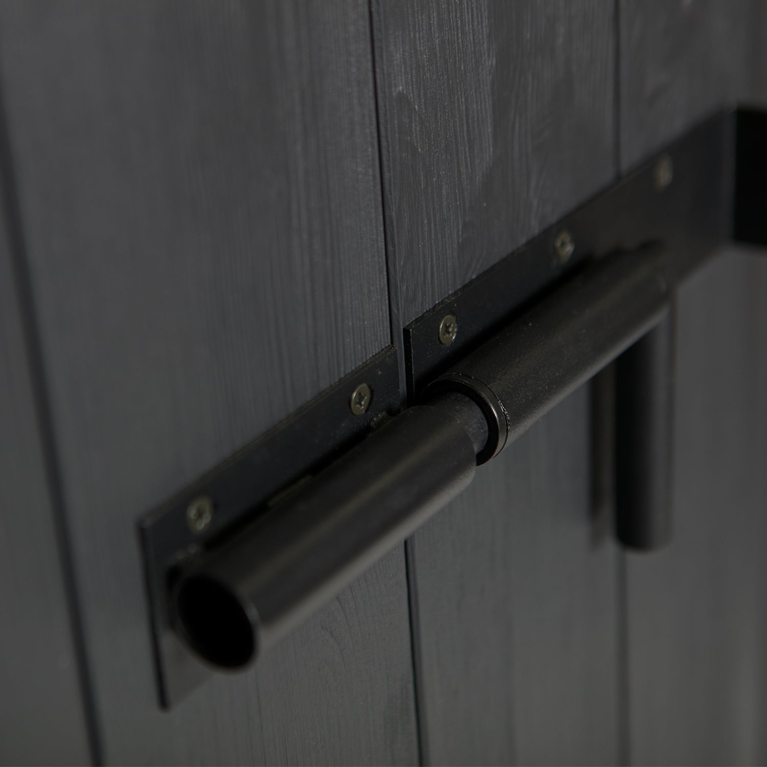 BRUUT 2 DOOR CABINET PINE BLACK [fsc]