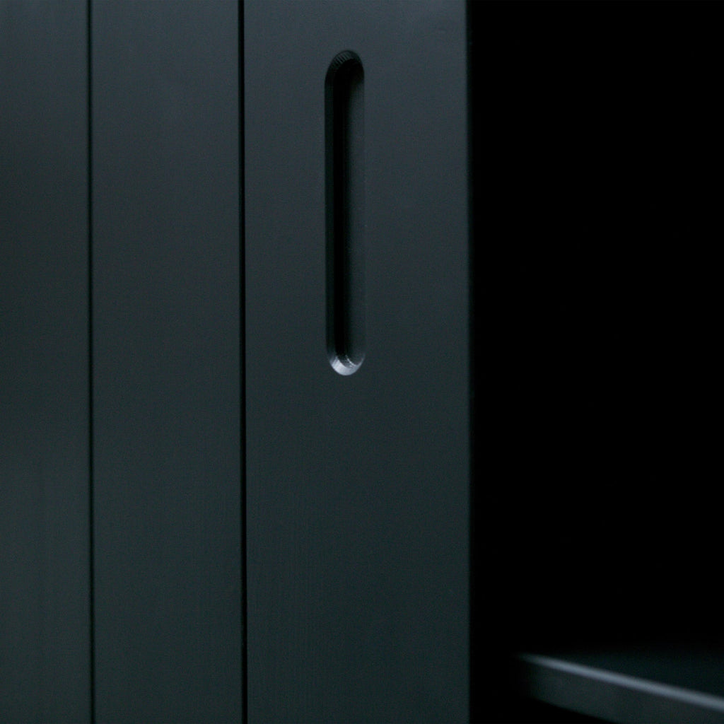 MOVE SLIDING DOOR CABINET PINE MATT BLACK [fsc]