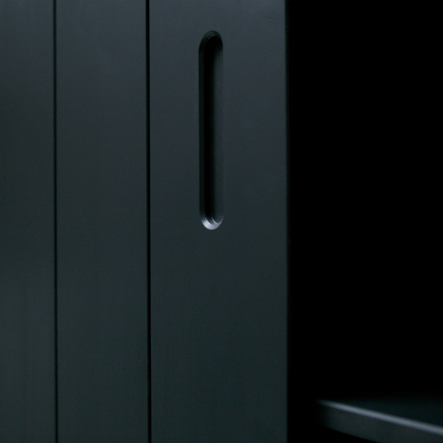 MOVE SLIDING DOOR CABINET PINE MATT BLACK [fsc]