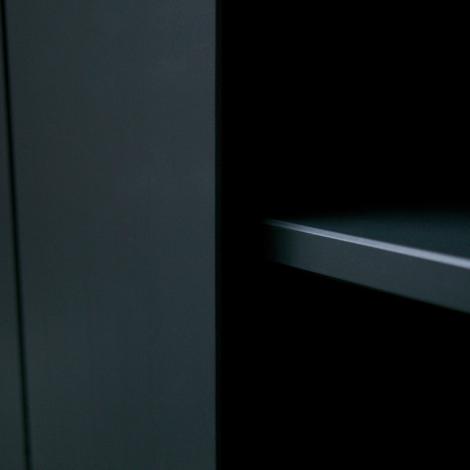 MOVE SLIDING DOOR CABINET PINE MATT BLACK [fsc]