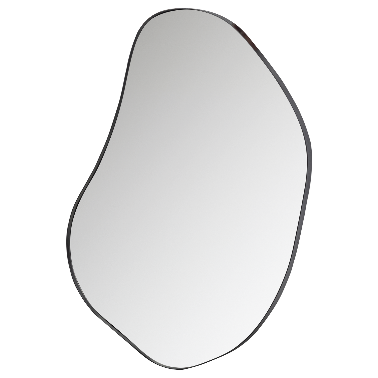 ROMEE ORGANIC MIRROR METAL BLACK 100x70CM
